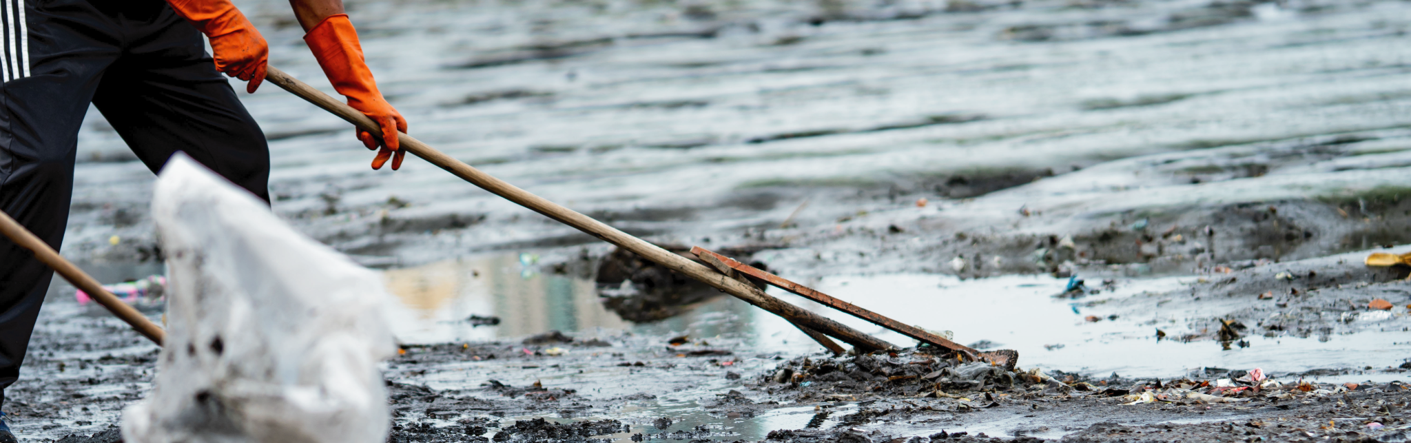 Earthwise products are oleophilic (oil-absorbing) and hydrophobic (water repellent)