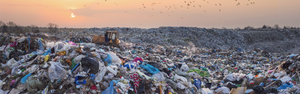 reduce the amount of plastic ending up in our landfills and oceans
