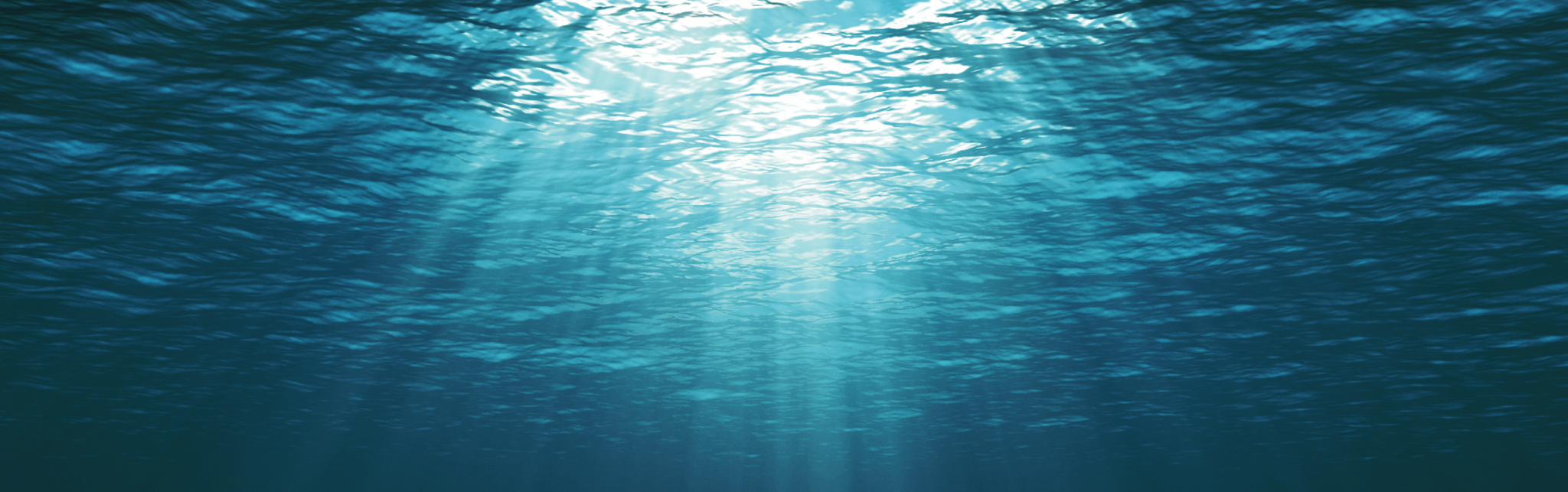 The best way to invest in our future is to live more sustainably